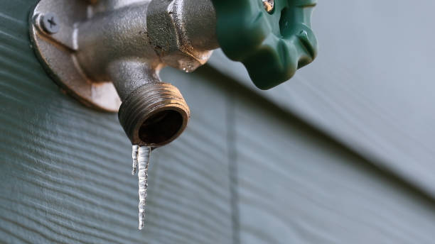 Best Affordable Plumbing Services  in Waimea, HI